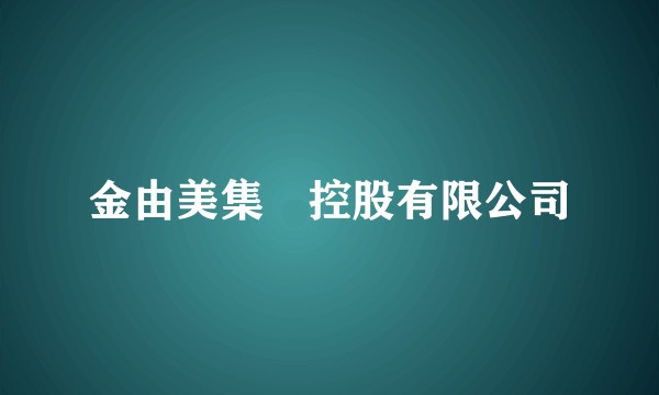 金由美集團控股有限公司