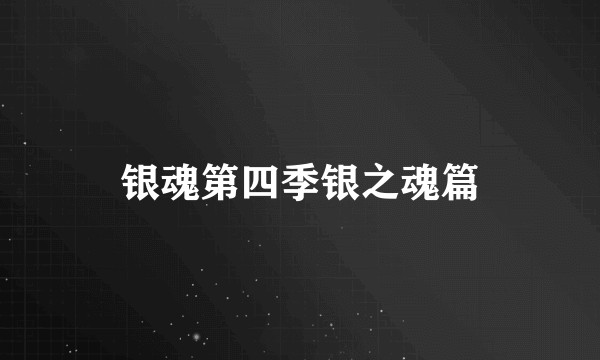银魂第四季银之魂篇