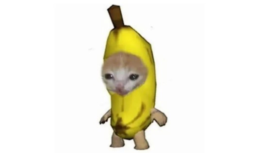 香蕉猫（网络热门表情包）
