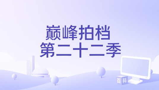巅峰拍档 第二十二季