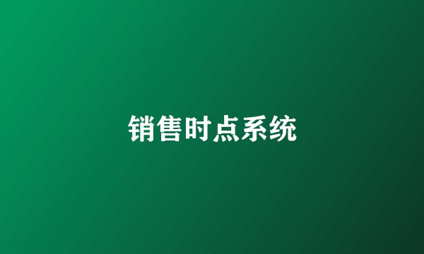 销售时点系统