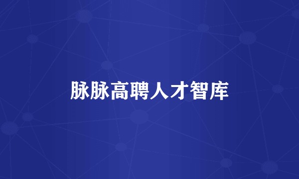 脉脉高聘人才智库