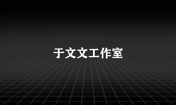 于文文工作室