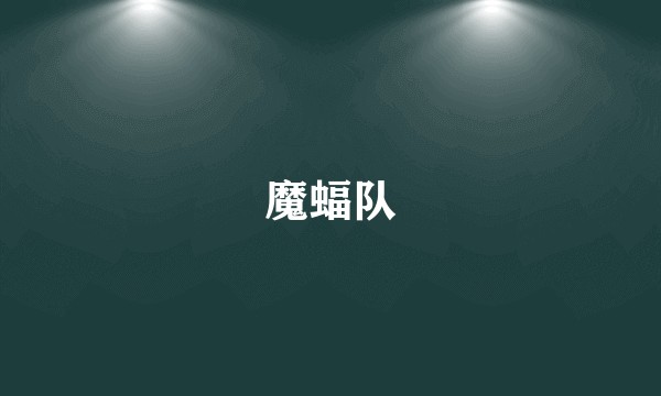 魔蝠队