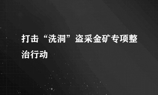 打击“洗洞”盗采金矿专项整治行动