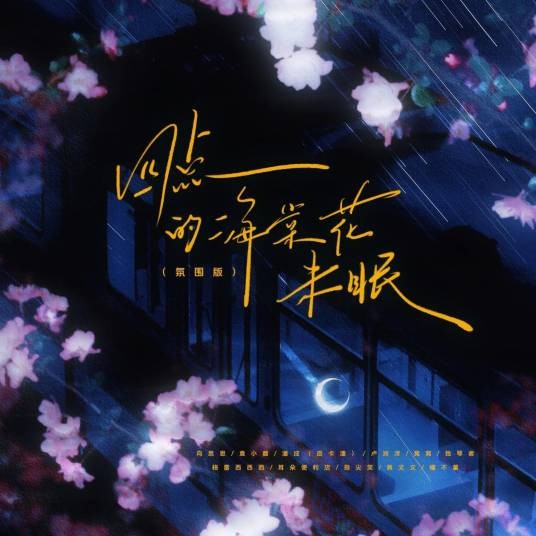 四点的海棠花未眠（氛围版）