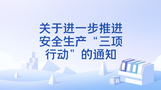 关于进一步推进安全生产“三项行动”的通知