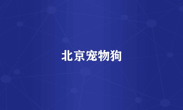 北京宠物狗
