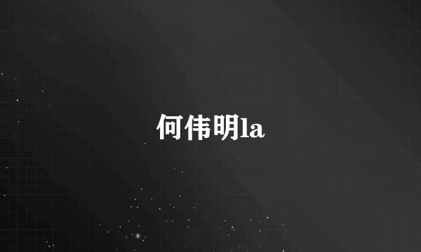 何伟明la