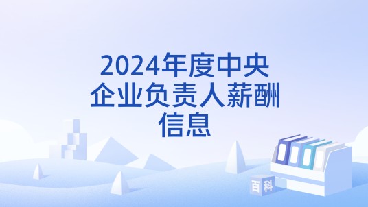 2024年度中央企业负责人薪酬信息