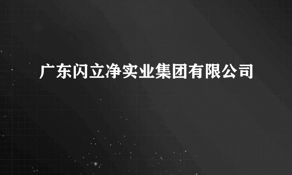 广东闪立净实业集团有限公司