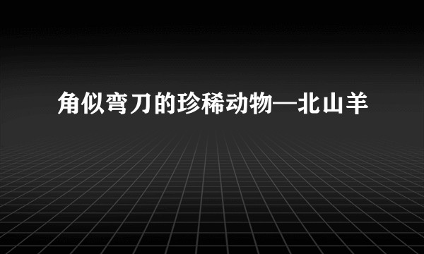 角似弯刀的珍稀动物—北山羊