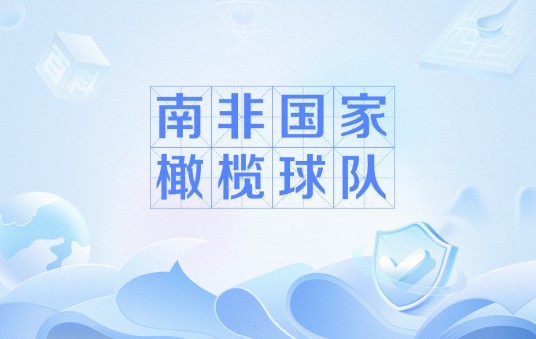 南非国家橄榄球队