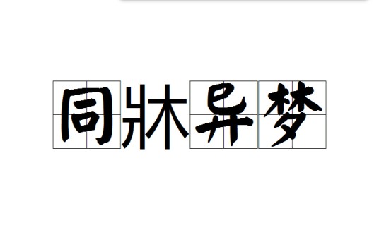 同牀异梦