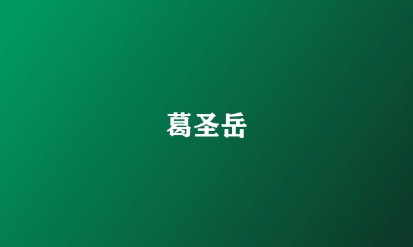 葛圣岳
