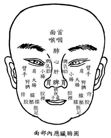 五藏