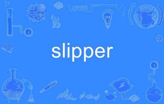 slipper
