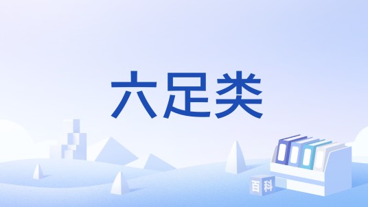 六足类