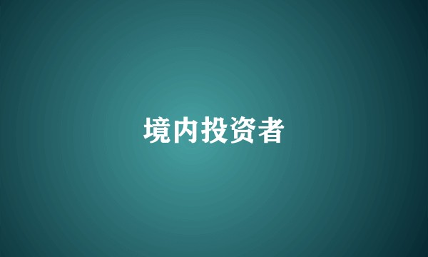 境内投资者