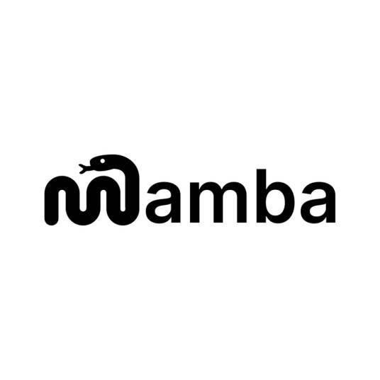 Mamba（机器学习方法）