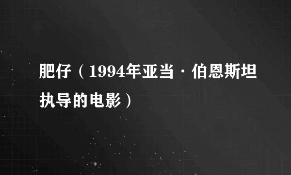 肥仔（1994年亚当·伯恩斯坦执导的电影）