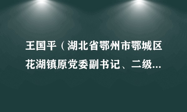 王国平（湖北省鄂州市鄂城区花湖镇原党委副书记、二级主任科员）