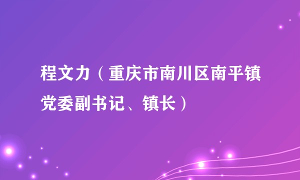 程文力（重庆市南川区南平镇党委副书记、镇长）