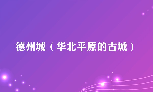 德州城（华北平原的古城）