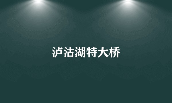 泸沽湖特大桥