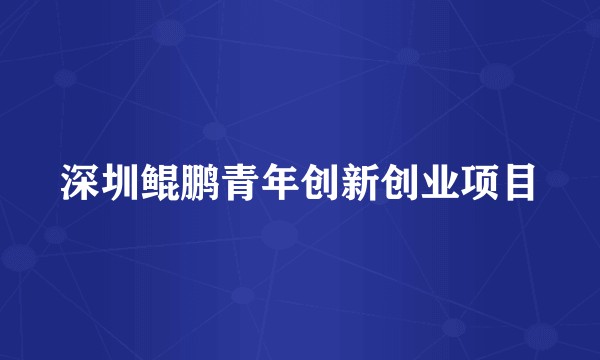 深圳鲲鹏青年创新创业项目