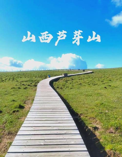 芦芽山（位于山西忻州宁武县的山脉）