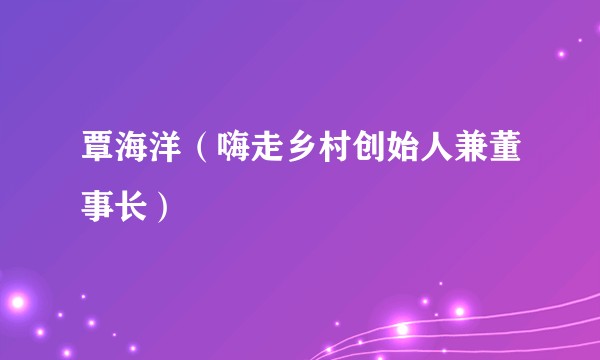 覃海洋（嗨走乡村创始人兼董事长）