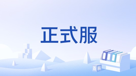 正式服