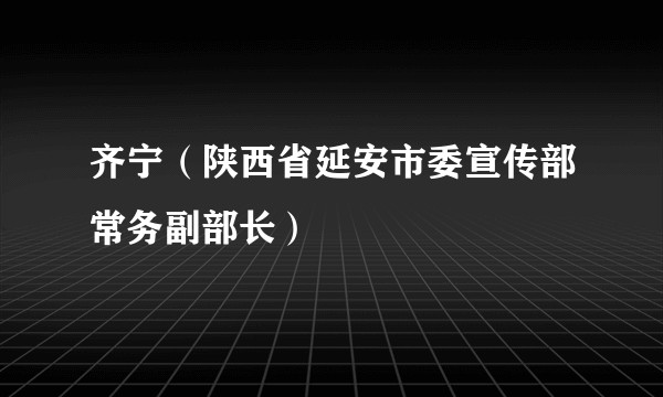 齐宁（陕西省延安市委宣传部常务副部长）