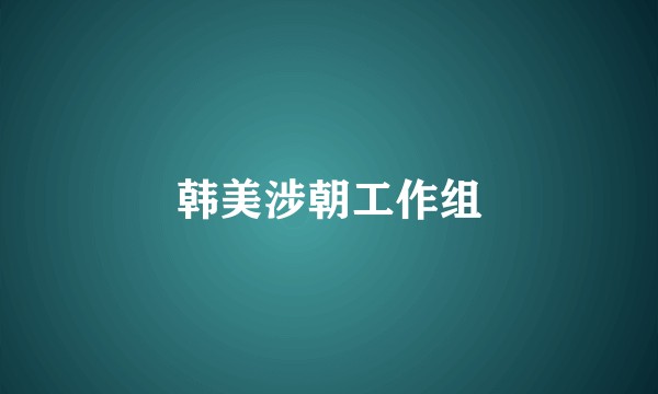韩美涉朝工作组