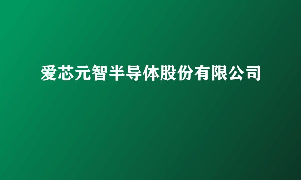 爱芯元智半导体股份有限公司