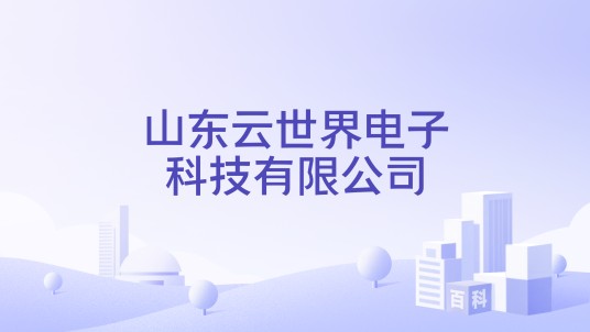 山东云世界电子科技有限公司