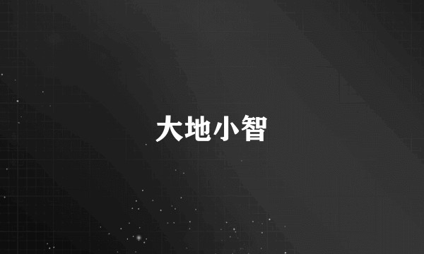 大地小智