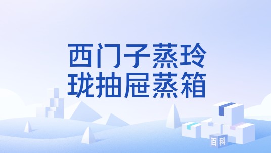 西门子蒸玲珑抽屉蒸箱