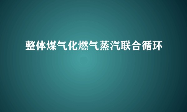 整体煤气化燃气蒸汽联合循环