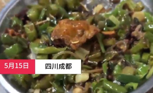 5·15成都网红自助餐馆吃出活虫事件