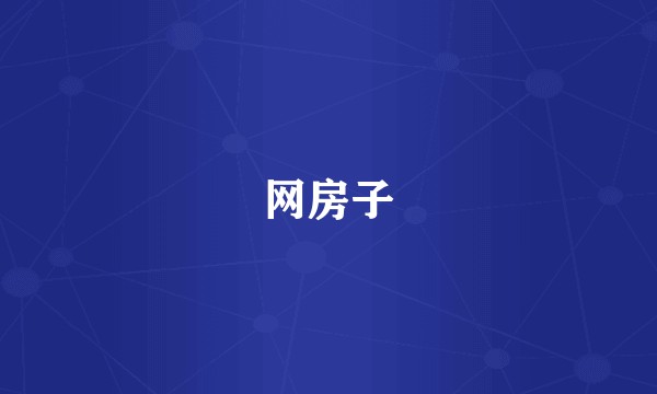 网房子