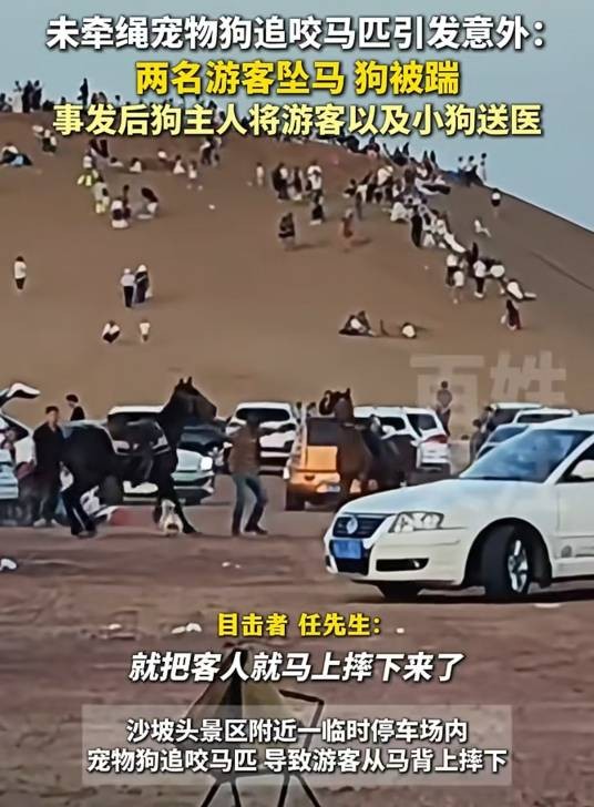 8·10中卫沙坡头景区游客坠马事件