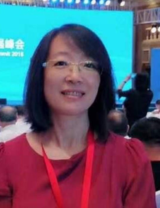 卢昕（长春新星宇房地产开发有限责任公司总裁）