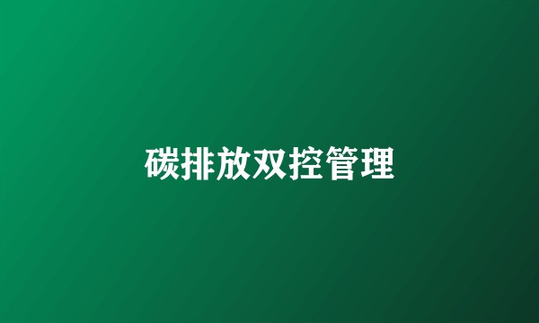 碳排放双控管理