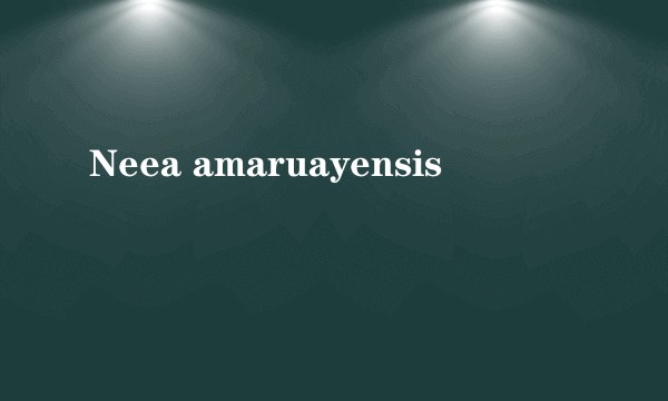 Neea amaruayensis