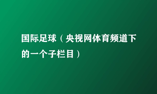 国际足球（央视网体育频道下的一个子栏目）
