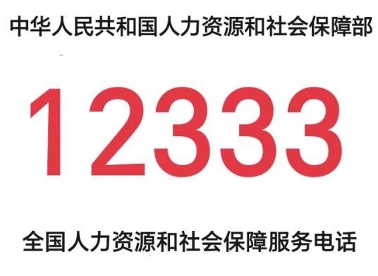 12333热线