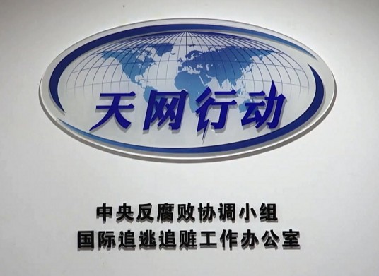 天网2021