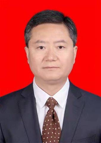 王小军(甘肃省陇南市宕昌县委常委、组织部部长)
